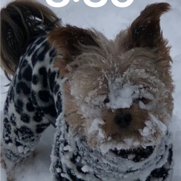 Meet your Posher, Char - Picture 2 of 6